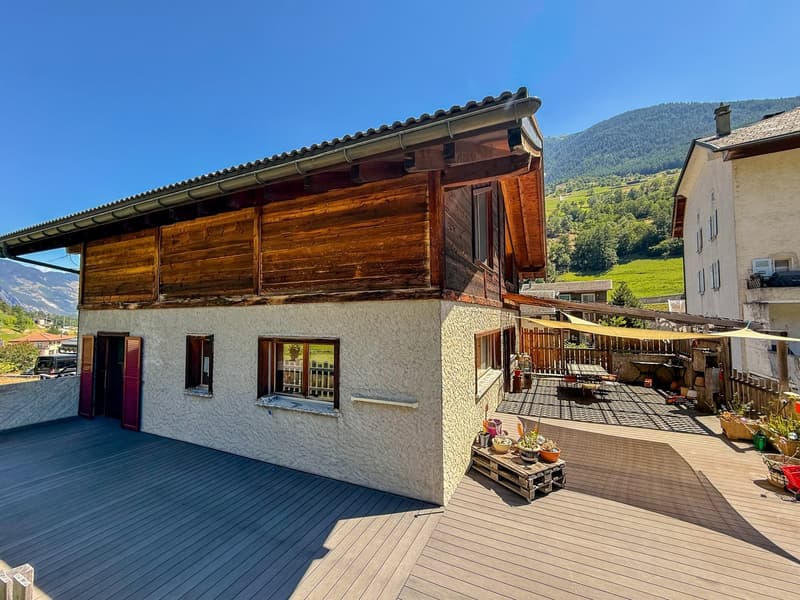 Grande villa familiale avec splendide terrasse et grand jardin (2)