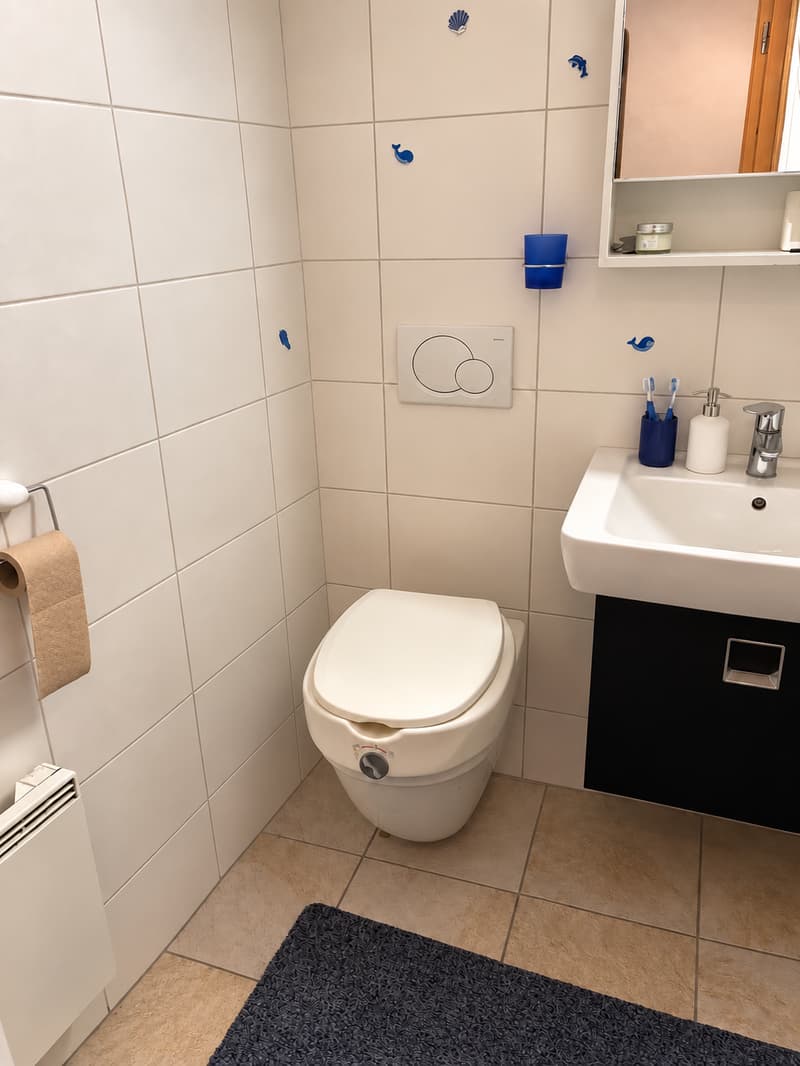 Appartement au coeur d'Orsières (7)