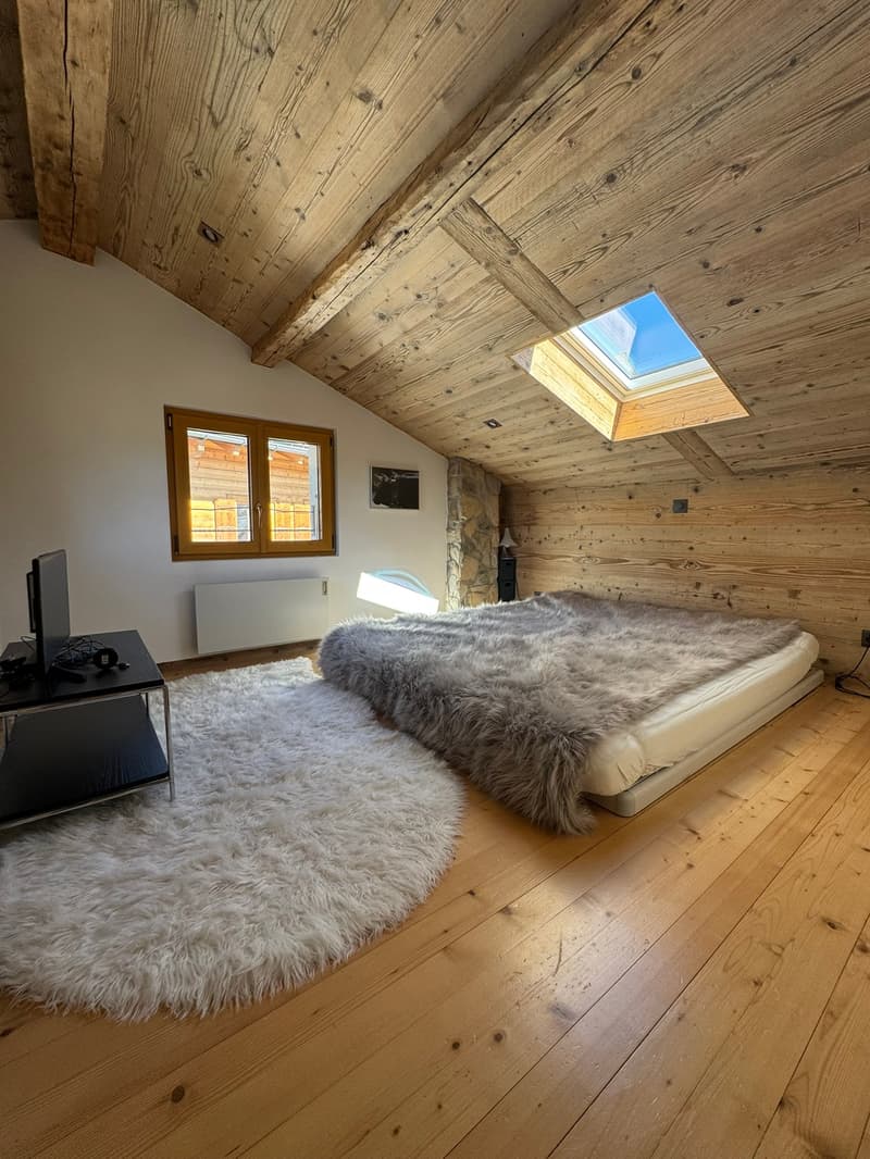 wooden walls, white floor, bed with fur, window, white fur rug, ceiling, skylight, heater, tv, table