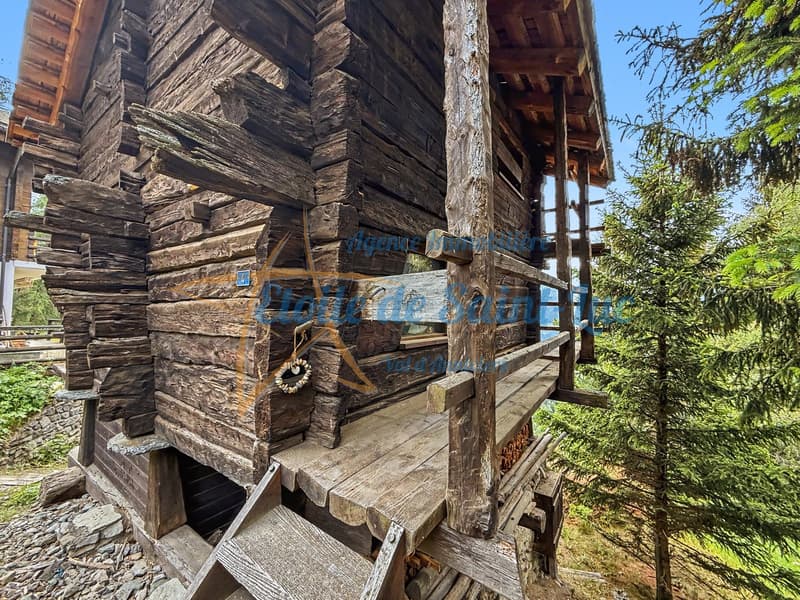 Schönes Chalet mit zwei Nebengebäuden (29)