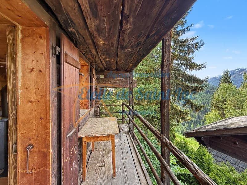 Schönes Chalet mit zwei Nebengebäuden (22)