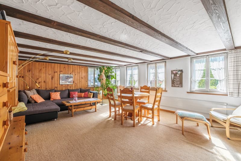 Wooden ceiling, wooden wall, carpeted floor, sofa, coffee table, dining table and chairs, wooden cabinet, radiator, picture frame, potted plant, windows with white curtains