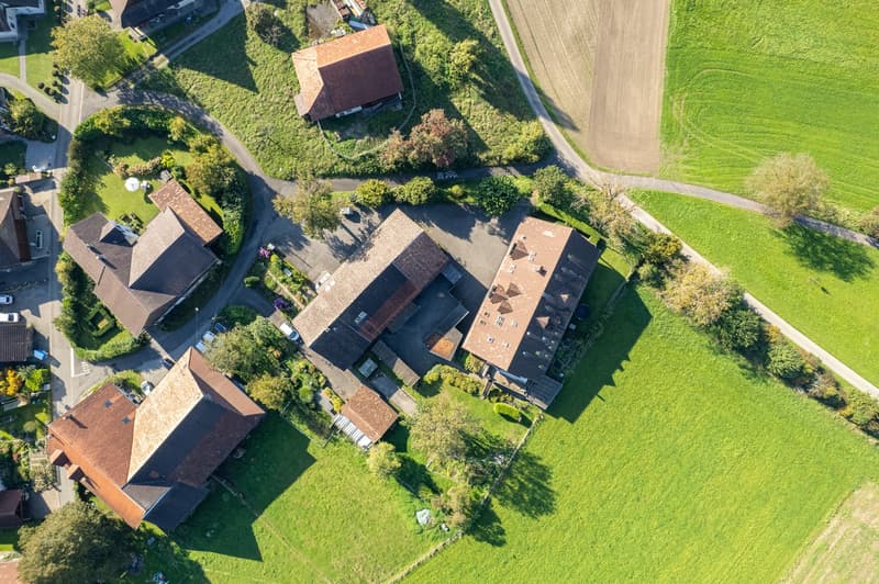 Multiple houses of different sizes and colors with brown roofs, driveways and well-maintained gardens