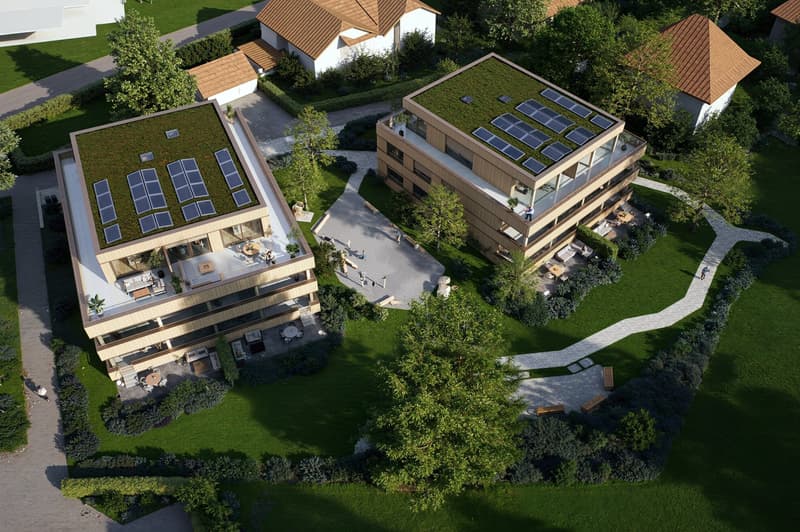Vivere nel parco - Cinque appartamenti di lusso a Goldach (5)