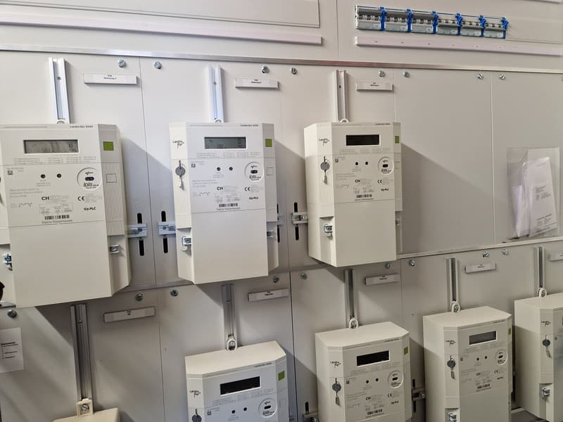 Electrical panel with multiple meters and switches