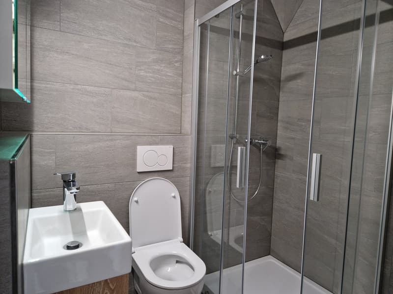 modern bathroom with white sink, white toilet, glass shower enclosure, gray tiles