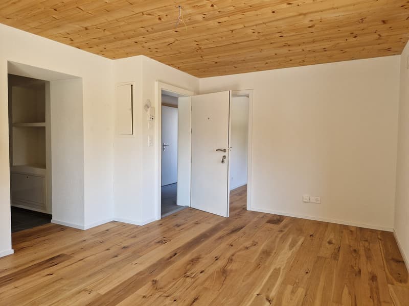 empty room, wooden floor, white walls, wooden ceiling, open door, power outlets, light switch