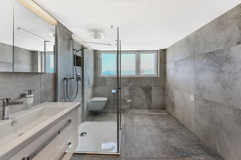 modern bathroom, gray tiles, white sink, glass shower enclosure, shower head, toilet, mirror, soap dispenser, power outlet