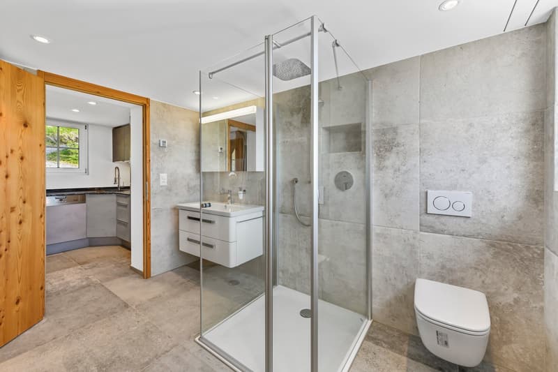 modern bathroom with glass shower, white sink, wooden door, white toilet, gray tiles