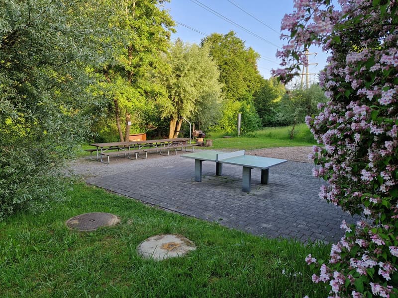 Einmalige 4.5-Zimmer-Maisonette-Wohnung in St. Gallen-Winkeln (4)