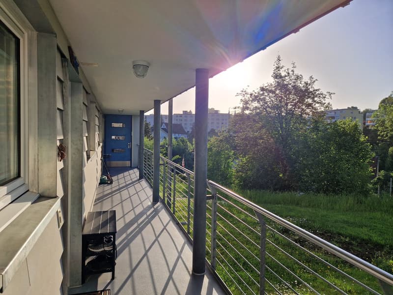 Einmalige 4.5-Zimmer-Maisonette-Wohnung in St. Gallen-Winkeln (3)