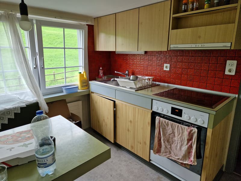 Cozy 1.5-room apartment in Herisau (5)