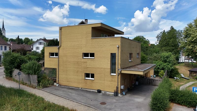 Newly valued 4.5-room single-family house with roof terrace & lake view (4)