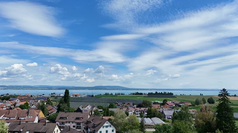 Newly valued 4.5-room single-family house with roof terrace & lake view (5)