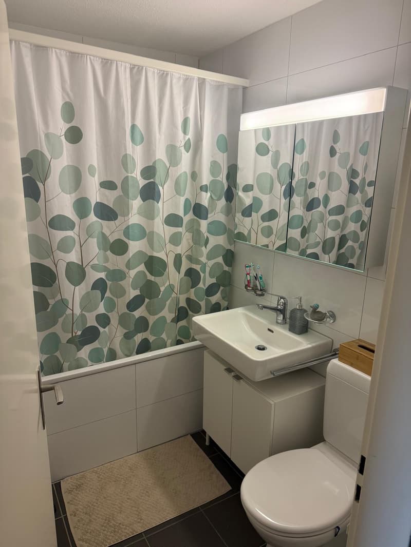 3.5-Zimmer-Wohnung in St. Gallen zu vermieten (12)