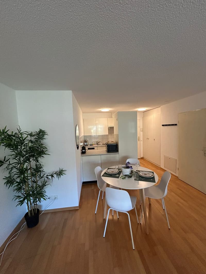 Round dining table, four chairs, potted plant, open kitchen with countertop, sink, toaster, microwave, cabinets