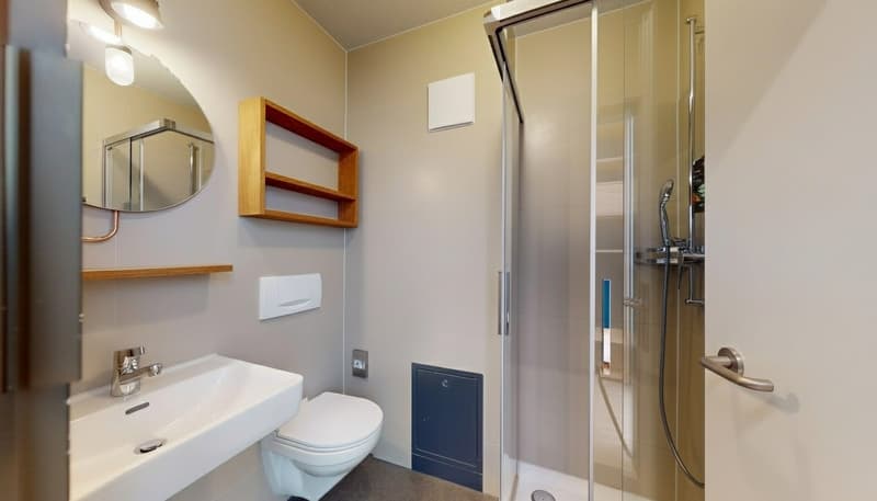modern bathroom with shower, sink, toilet, wooden shelf, mirror