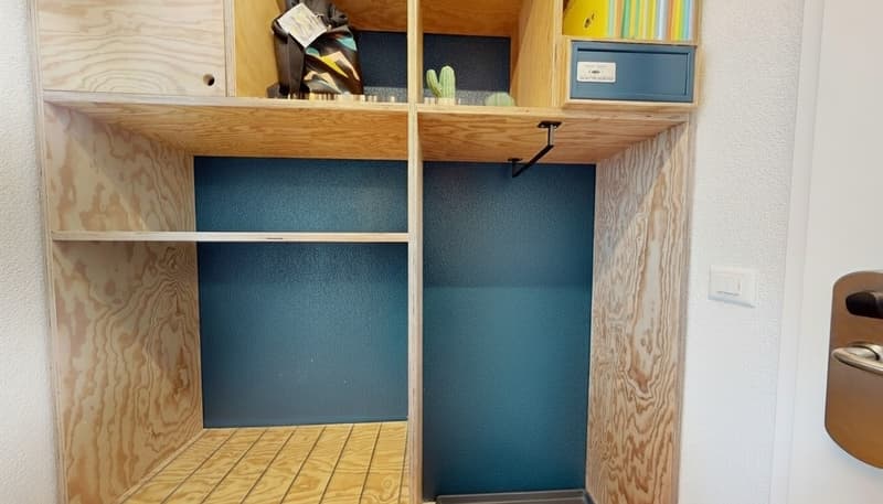 Interior closet with wooden shelving, dark blue walls, cactus decoration, hanging shoe rack.