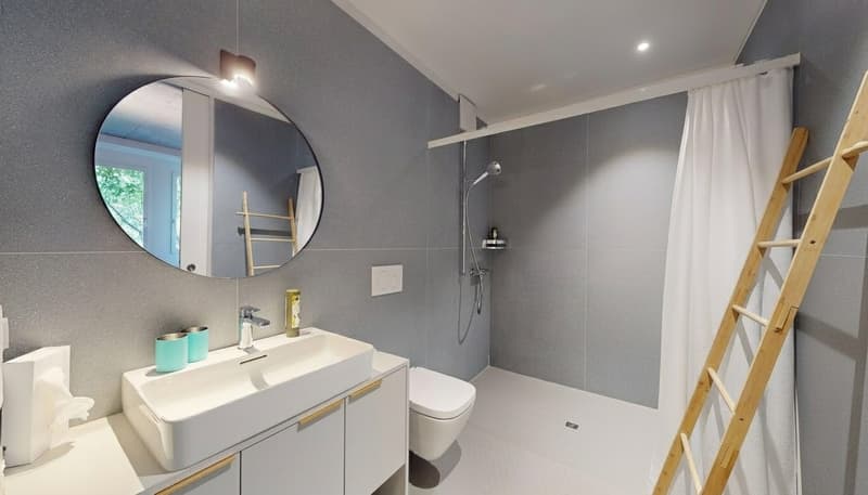 modern bathroom, gray walls, white tiles, round mirror, sink, toilet, walk-in shower, ladder