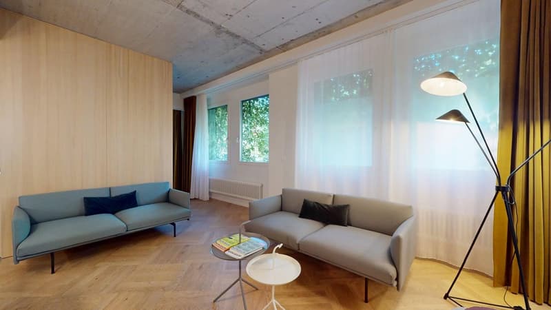 two sofas, wooden flooring, white curtains, standing lamp, side table, books