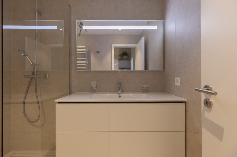 ✨ Superb 2 Bedroom Apartment for Rent in Geneva – Ideal Location & Fully Renovated ! ✨ (11)