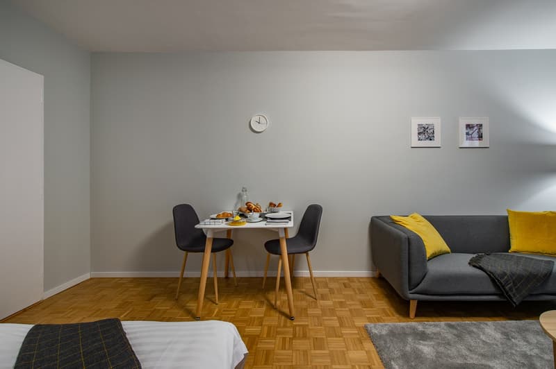 ✨ Studio Arredato e Comfortevole in Affitto – Rue de Richemont, Vicino al Quartiere des Pâquis ✨ (4)