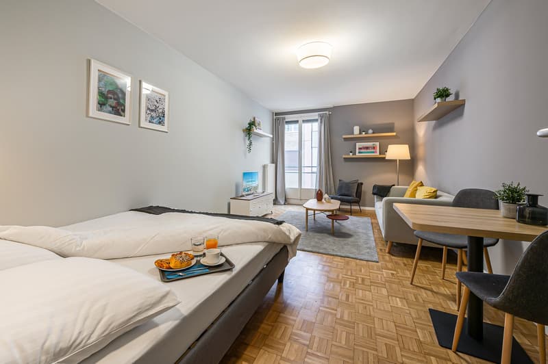 ✨ Studio Arredato e Comfortevole in Affitto – Rue de Richemont, Vicino al Quartiere des Pâquis ✨ (1)