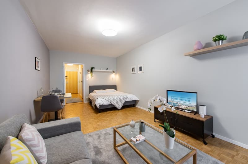 ✨ Studio Arredato e Comfortevole in Affitto – Rue de Richemont, Vicino al Quartiere des Pâquis ✨ (3)