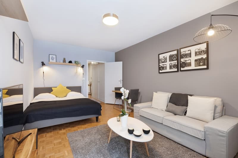 ✨ Studio Arredato e Comfortevole in Affitto – Rue de Richemont, Vicino al Quartiere des Pâquis ✨ (6)