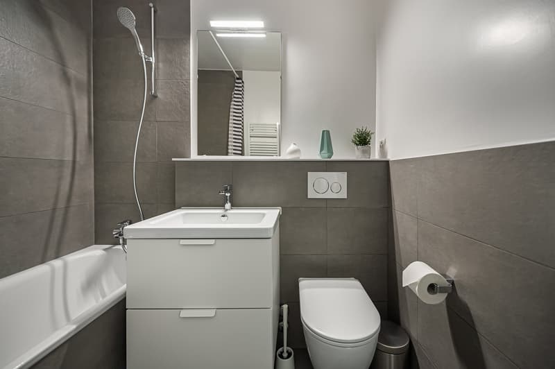 ✨ Studio Arredato e Comfortevole in Affitto – Rue de Richemont, Vicino al Quartiere des Pâquis ✨ (10)