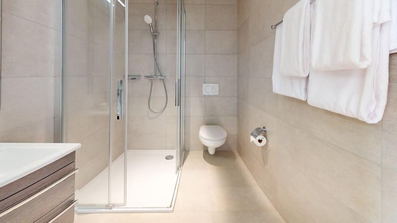 White shower with hand held shower head, white toilet, light colored wall tiles, silver fixtures, roll of toilet paper, 3 white towels, open drawer below sink