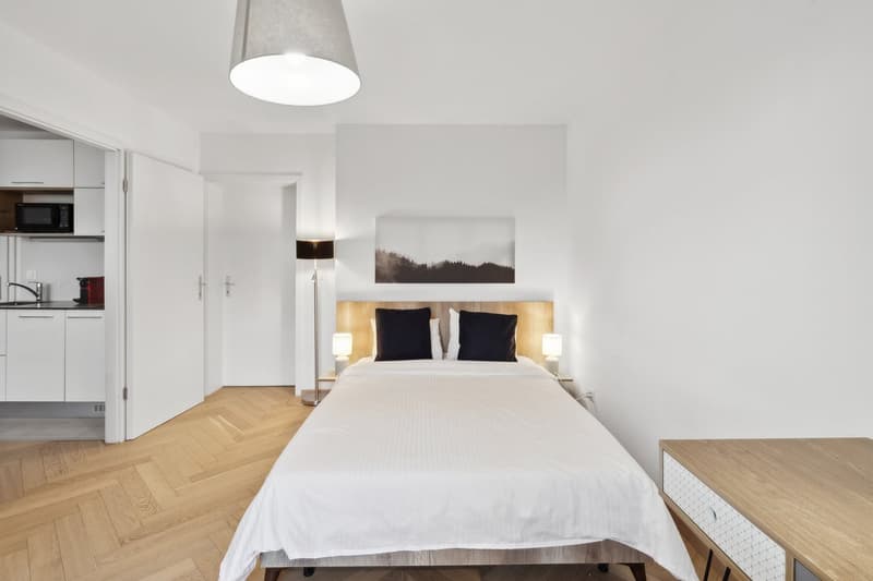 Bedroom with wooden flooring, modern furniture, two nightstands with lamps, two pillows on the bed, modern wall art, and a closet