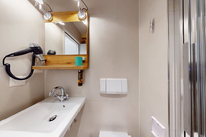 white sink, mirror, toilet, shower, hair dryer