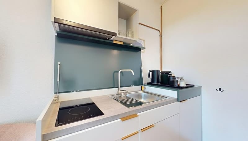 small kitchen with induction hob, sink, faucet, overhead hood, dishwasher