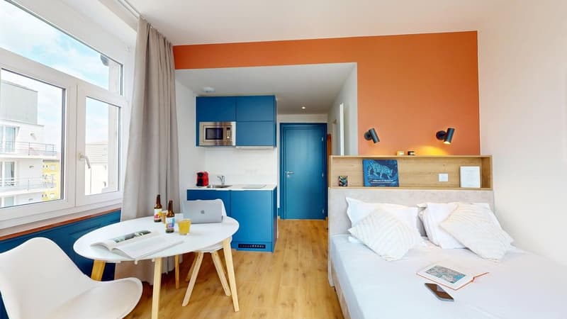 small studio, wooden floor, open plan, blue cupboards, microwave, blue door, single bed, pillows, table with chair, large window with view