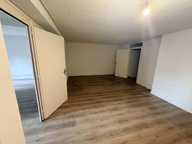 Verkaufsfläche von 70 m² zur Miete – Gesuchte Lage in Lausanne (3)