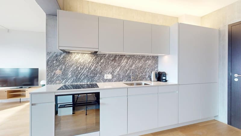 Appartamento Premium 1 camera nella nuova Torre Alto – Freihofstrasse 23, Zürich (4)