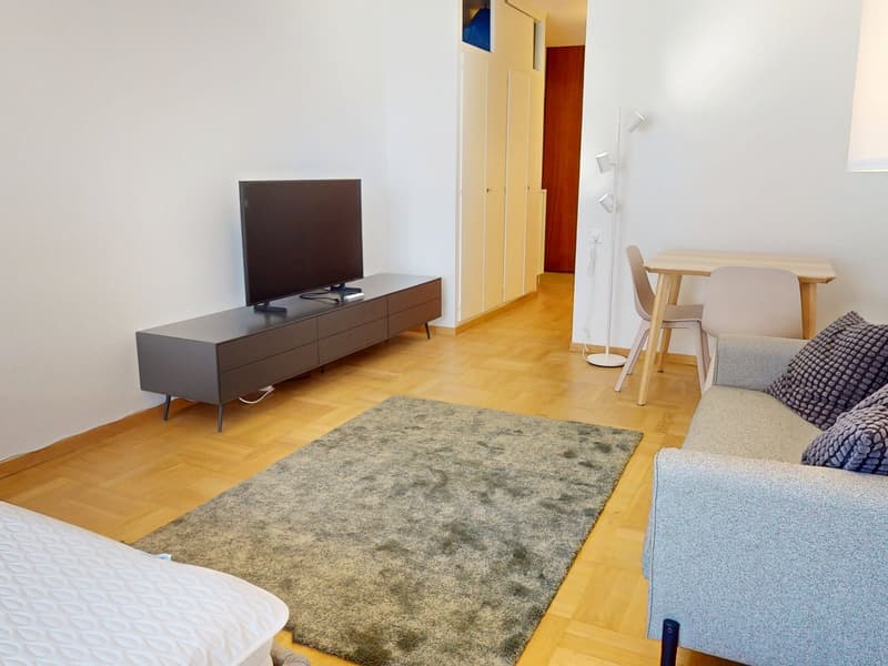 Studio moderno nel cuore di Pâquis – Genève centrale (4)