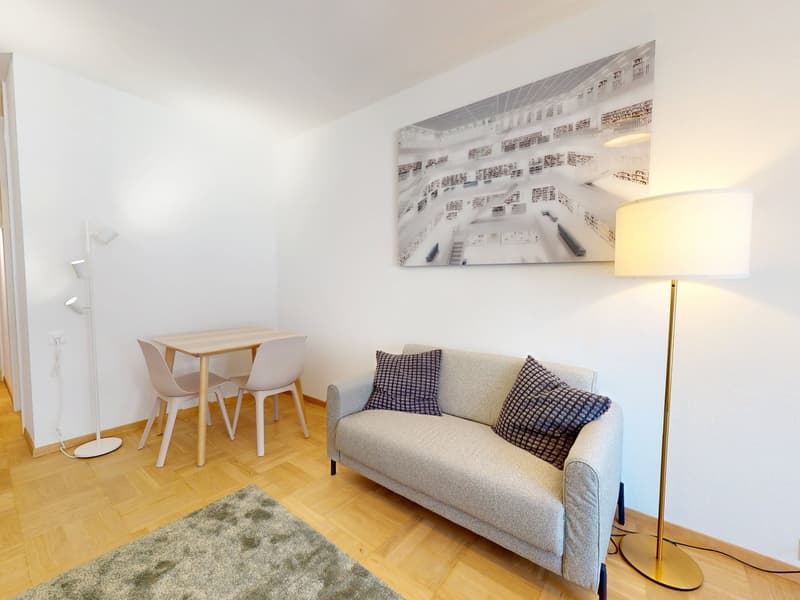 Studio moderno nel cuore di Pâquis – Genève centrale (3)