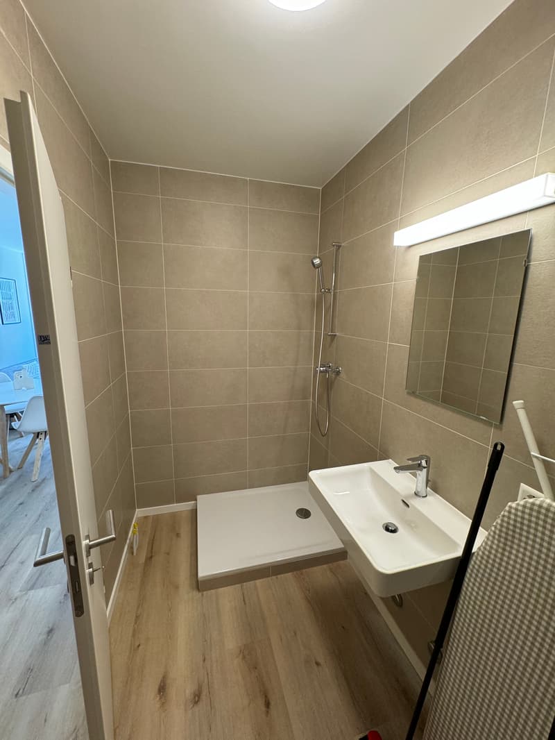 Design-Ein-Zimmer-Wohnung im Herzen von Genf Paquis! (8)