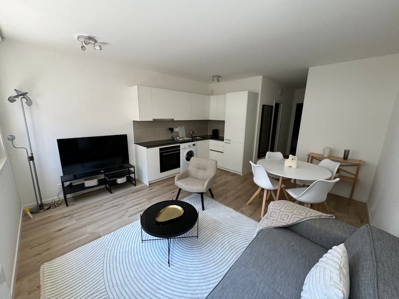 Design-Ein-Zimmer-Wohnung im Herzen von Genf Paquis! (1)