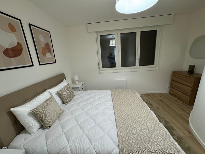 Design-Ein-Zimmer-Wohnung im Herzen von Genf Paquis! (5)