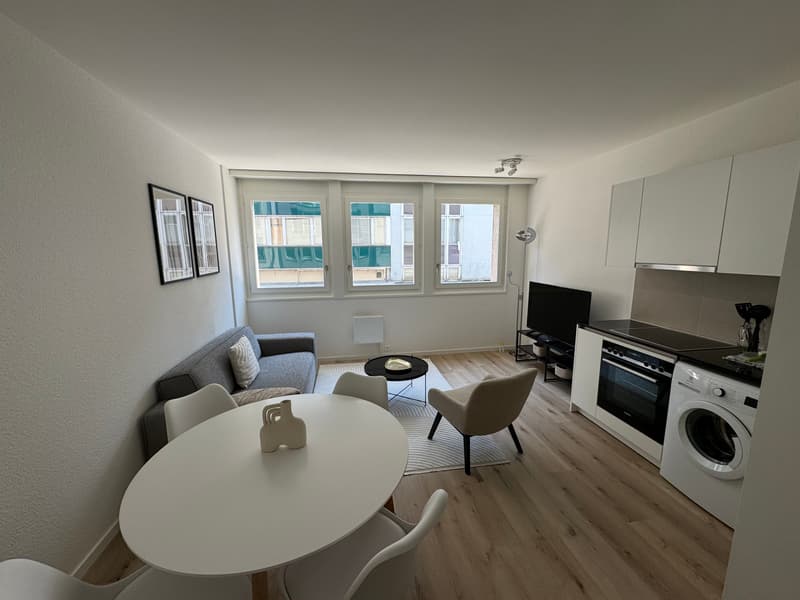 Design-Ein-Zimmer-Wohnung im Herzen von Genf Paquis! (2)