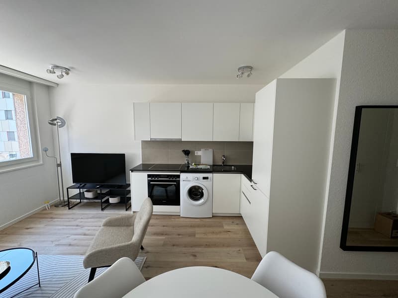 Design-Ein-Zimmer-Wohnung im Herzen von Genf Paquis! (3)