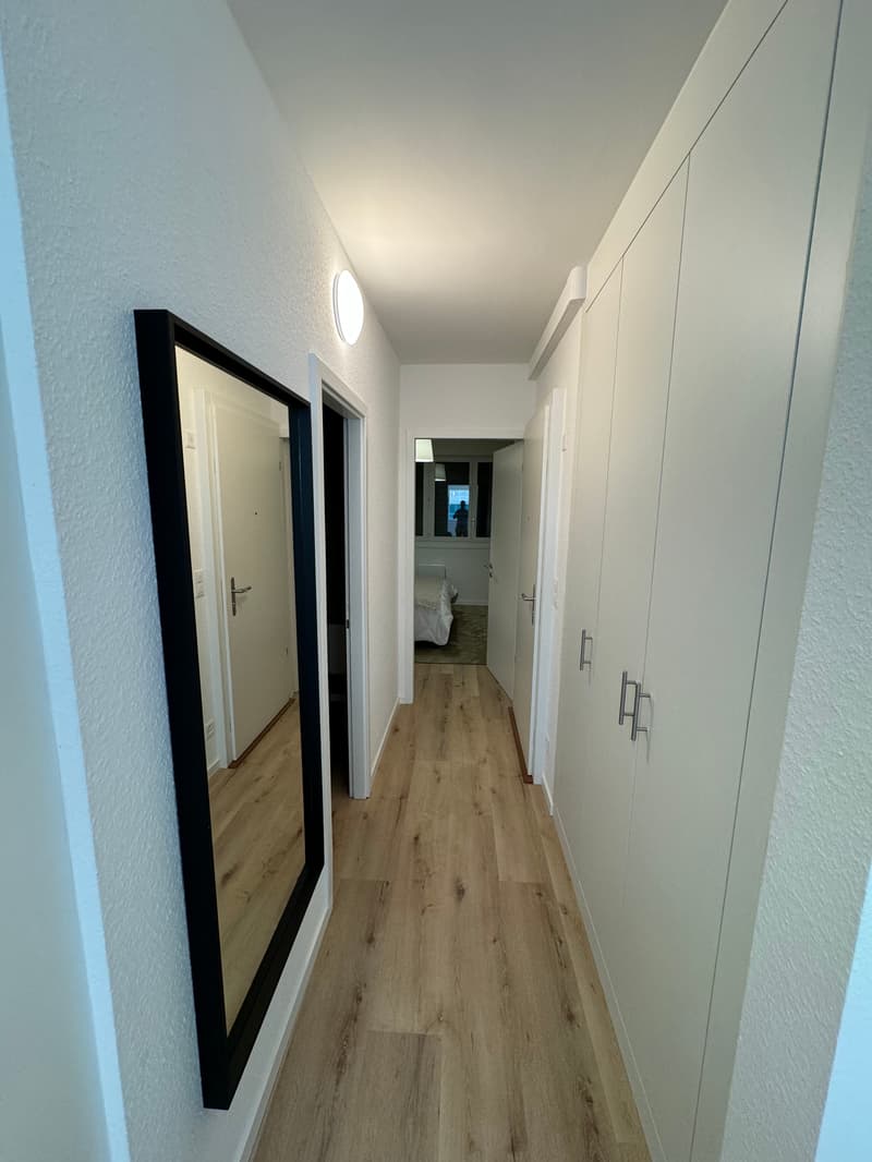 Design-Ein-Zimmer-Wohnung im Herzen von Genf Paquis! (4)