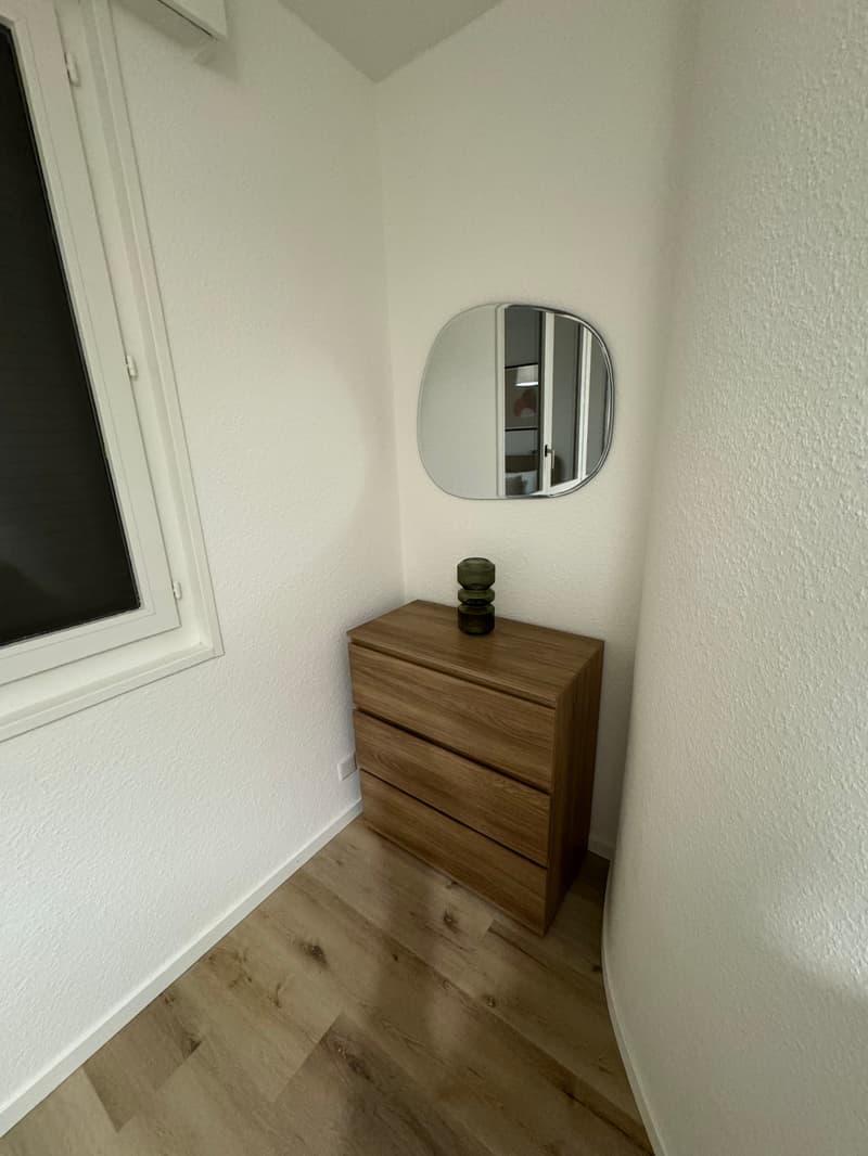 Design-Ein-Zimmer-Wohnung im Herzen von Genf Paquis! (7)