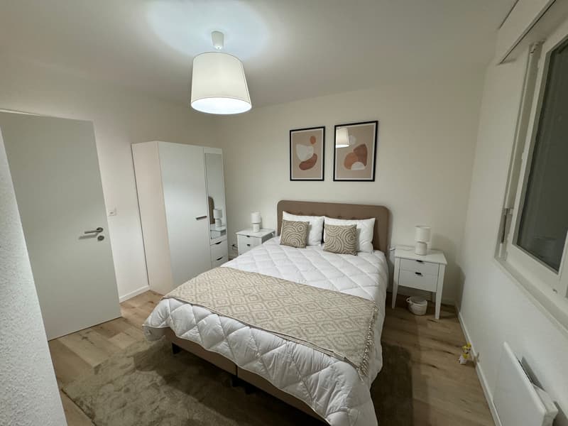 Design-Ein-Zimmer-Wohnung im Herzen von Genf Paquis! (6)