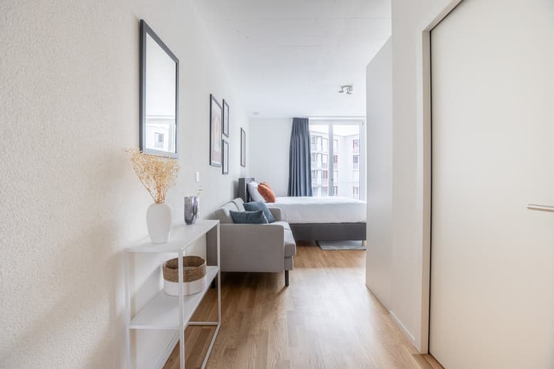 ✨ Superb Furnished Studio in Kriens – Modern Residence with Fitness Room & Co-Living Space ✨ (3)