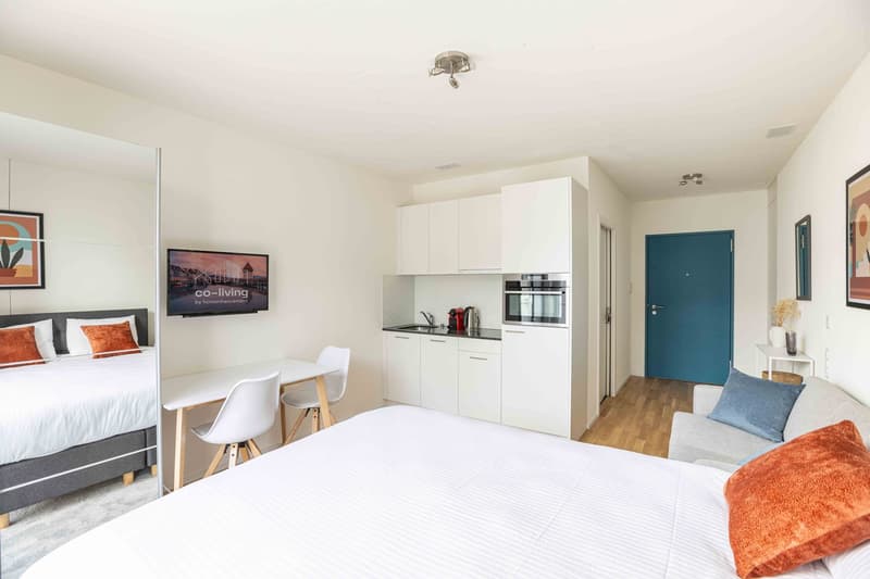 ✨ Superb Furnished Studio in Kriens – Modern Residence with Fitness Room & Co-Living Space ✨ (2)