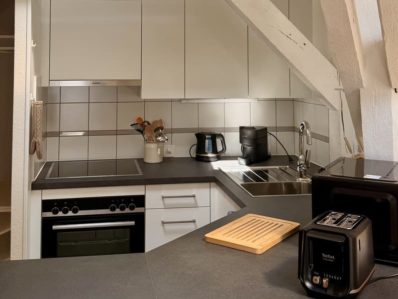 Charmant appartement meublé 1 chambre sous les toits avec poutres apparentes – Servette, Genève (7)